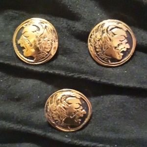 Indian head earrings and pin